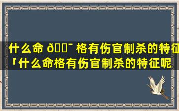 什么命 🐯 格有伤官制杀的特征「什么命格有伤官制杀的特征呢 🕸 」